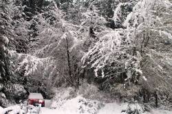 Snowbound (Not complaining)