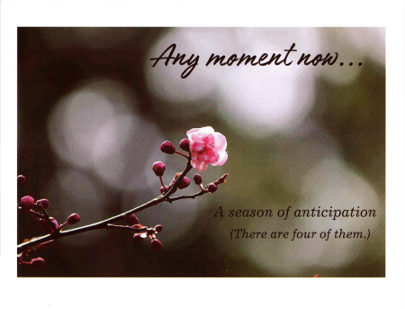 "Any moment now..."