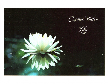 "Cosmic Water Lily"