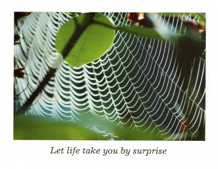 "Let Life Take You By Surprise"