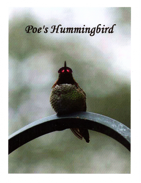 "Poe's  Hummingbird"