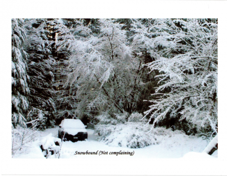 "Snowbound"