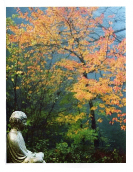 "The Buddha in Autumn"