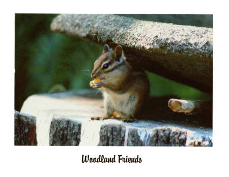 "Woodland Friends"